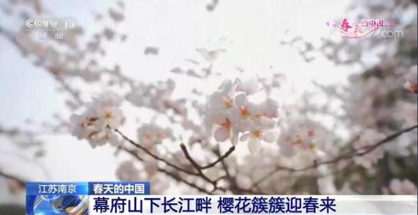 春天的中国| 借农力旅融合“美丽经济”促进乡村振兴