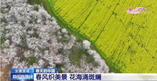 春天的中国| 借农力旅融合“美丽经济”促进乡村振兴