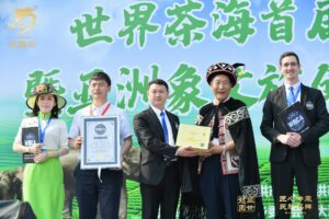 世界最大大叶种名山名茶科普园创世界纪录认证发布会在云南景洪市举行
