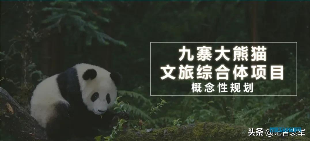 四川九寨大熊猫文旅创投团队到四川省停车行业协会做项目推荐