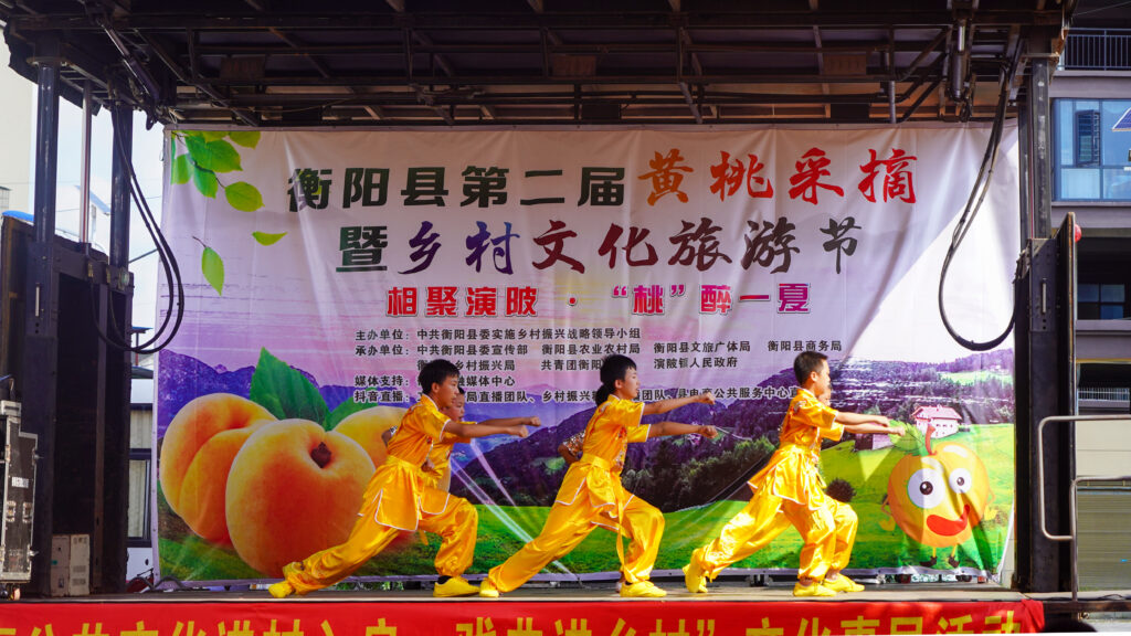 衡阳县第二届黄桃采摘暨乡村文化旅游节在演陂镇隆重举办